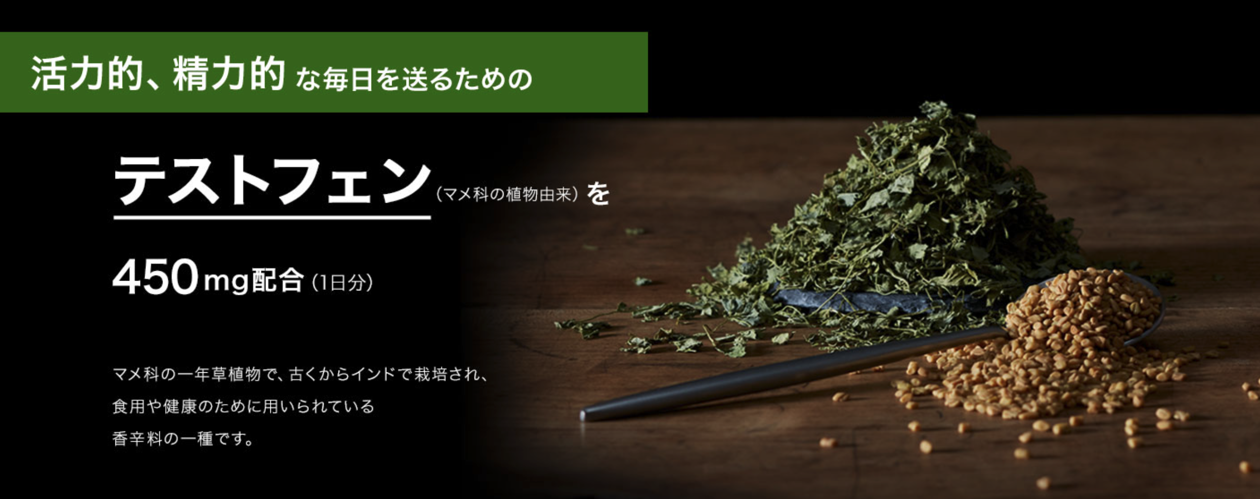 活力支援サプリ